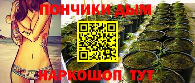 марки lsd Лесосибирск