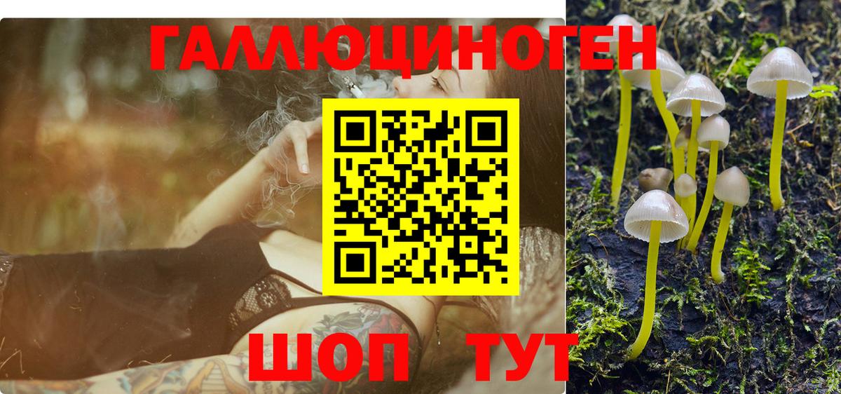 Галлюциногенные грибы прущие грибы  Вход с VPN  Чистополь  продажа наркотиков  Галлюциногенные грибы Cubensis 